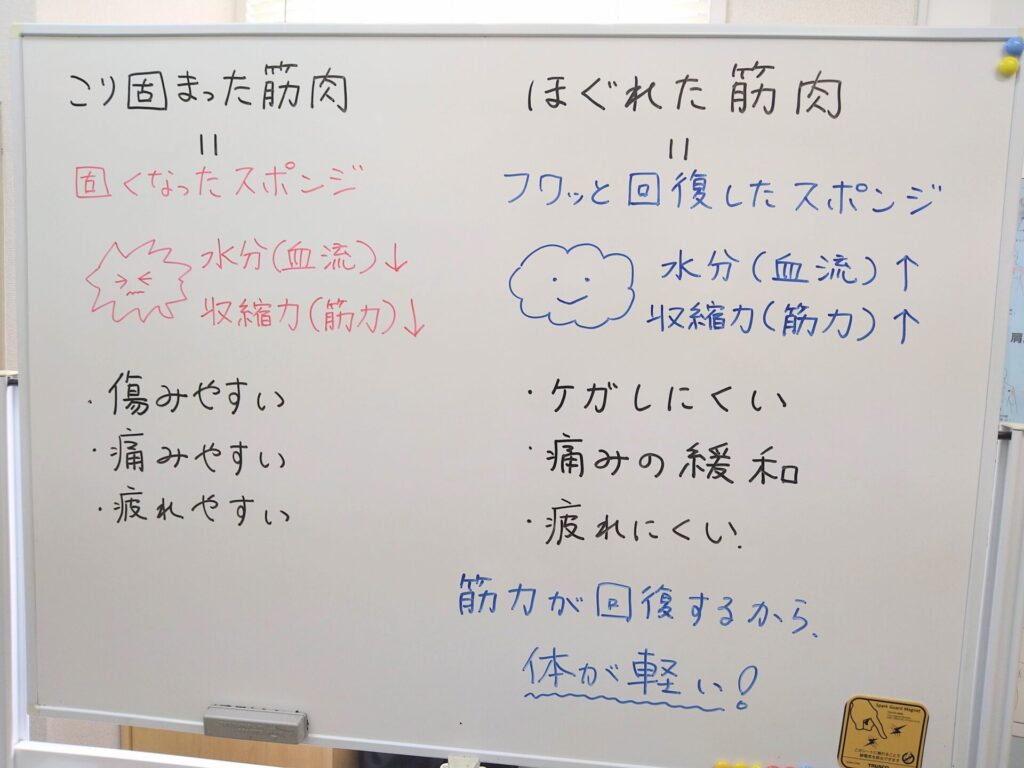 こり固まった筋肉とほぐれた筋肉の違い