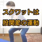 スクワットは股関節の運動ととらえよう