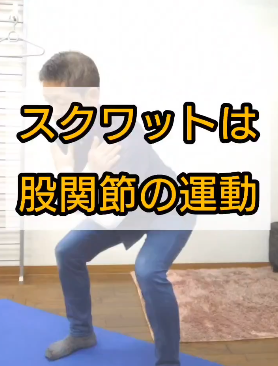 スクワットは股関節の運動ととらえよう
